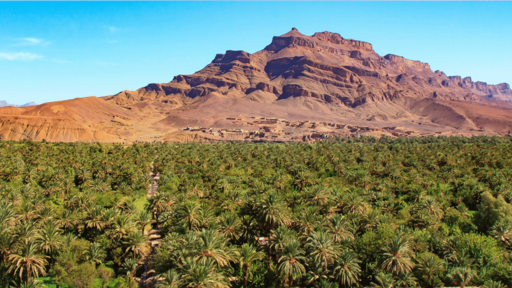 5 Days Tou5 Days Tour from Marrakech to Zagora Erg Chigaga via Draa Valley