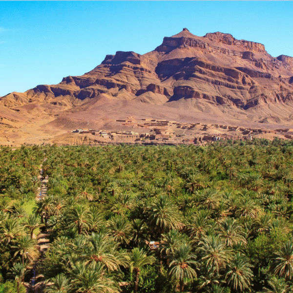 3 Days from Marrakech to Merzouga Desert Excursion
