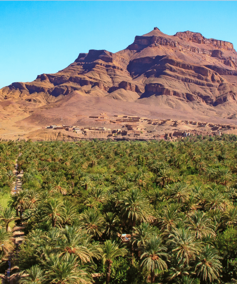 5 Days Tou5 Days Tour from Marrakech to Zagora Erg Chigaga via Draa Valley