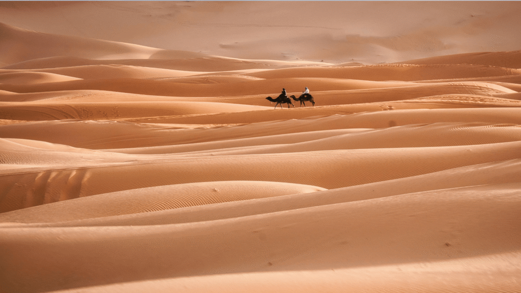 About - Zagora Sahara Tours