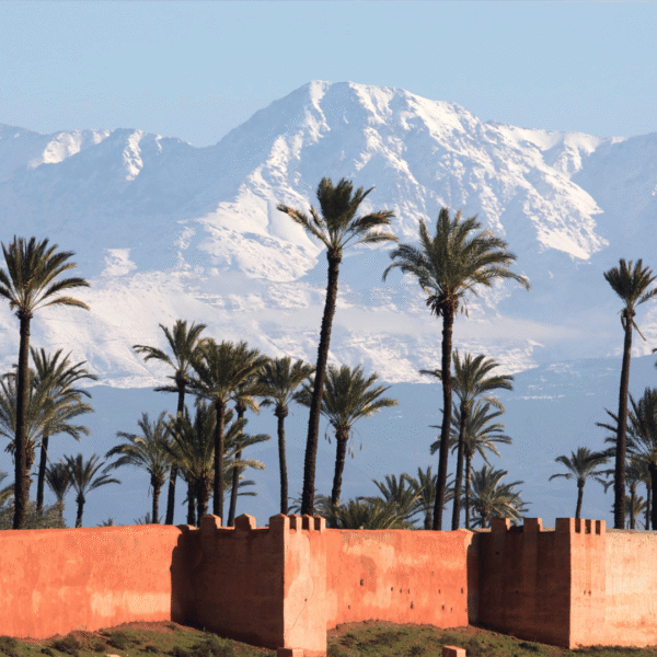 Taroudant and Tiout Oasis Day Trip from Agadir