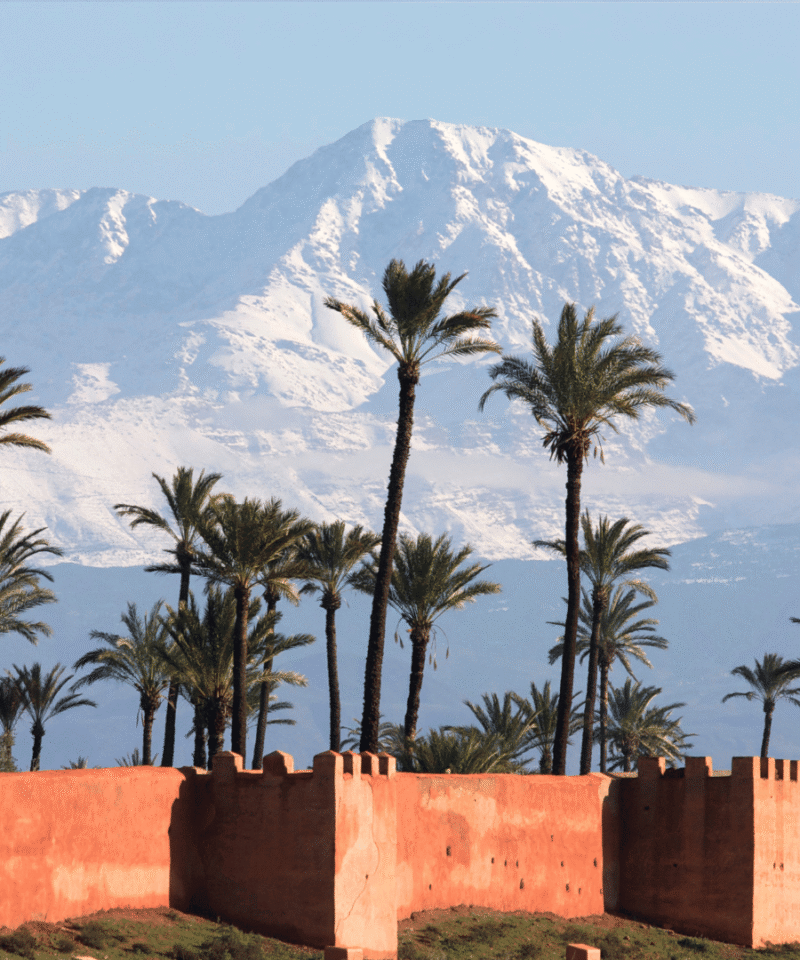 Taroudant and Tiout Oasis Day Trip from Agadir