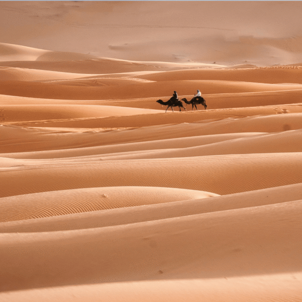 About - Zagora Sahara Tours