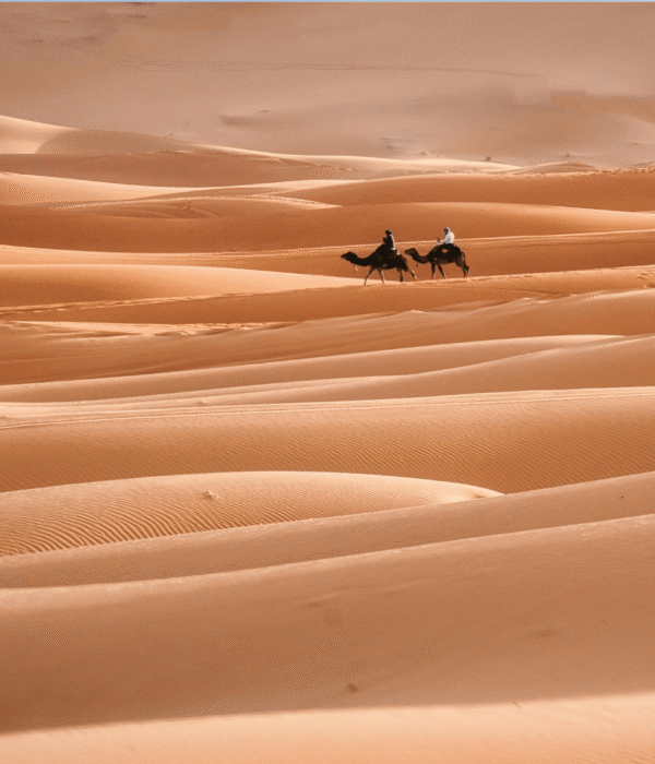 About - Zagora Sahara Tours