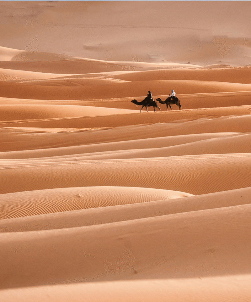 About - Zagora Sahara Tours