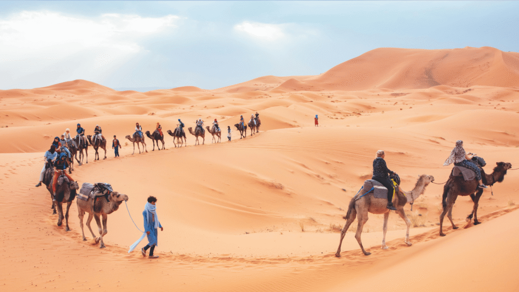 7 Days Zagora Sahara Trekking from Agadir