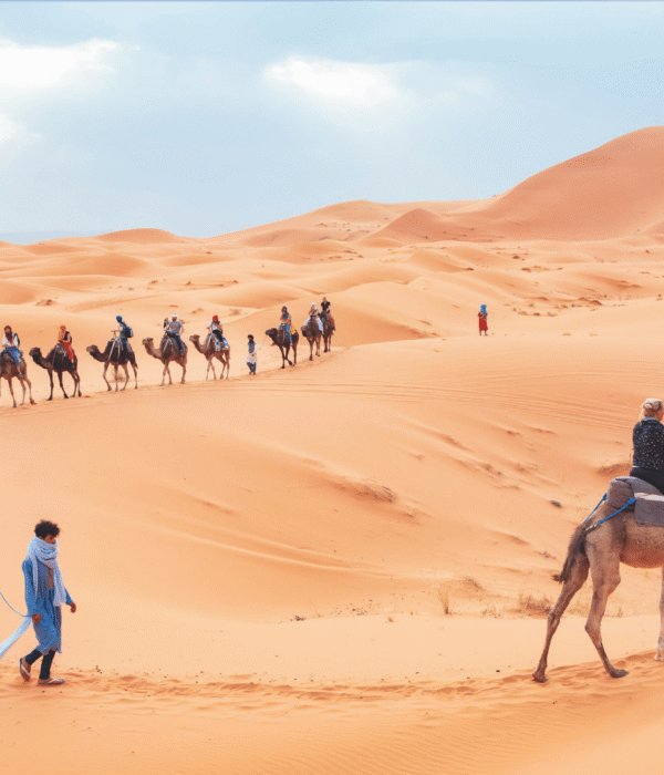 7 Days Zagora Sahara Trekking from Agadir