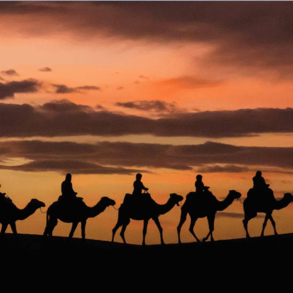 Tour di 2 Giorni nel Deserto di Zagora