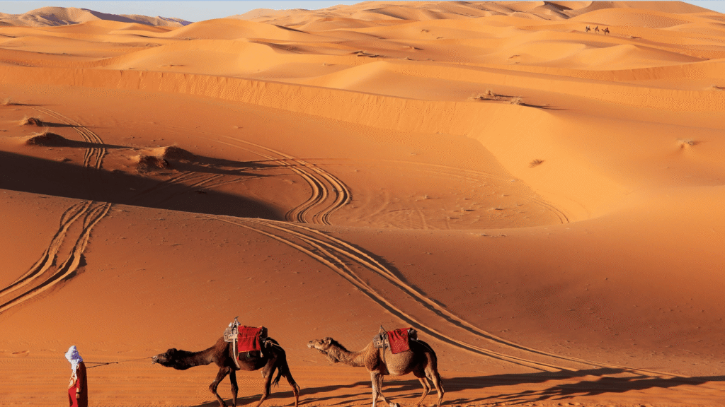 3 Days Tour from Ouarzazate to Agadir via Zagora Erg Chigaga Desert
