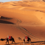 3 Days Tour from Ouarzazate to Agadir via Zagora Erg Chigaga Desert