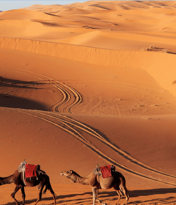 3 Days Tour from Ouarzazate to Agadir via Zagora Erg Chigaga Desert