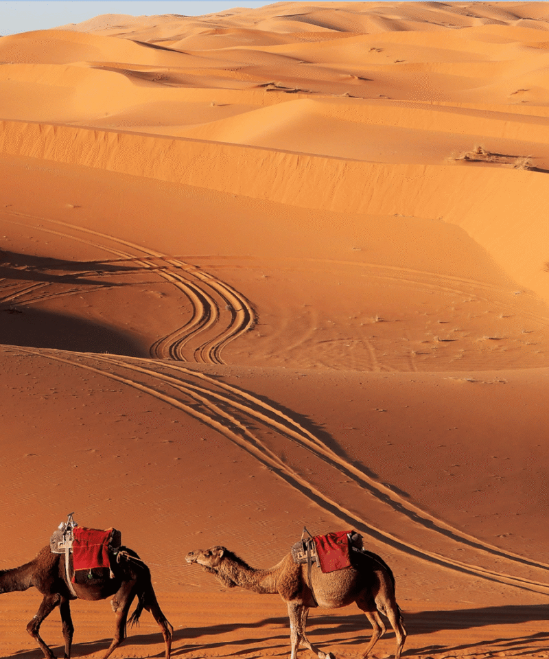 3 Days Tour from Ouarzazate to Agadir via Zagora Erg Chigaga Desert