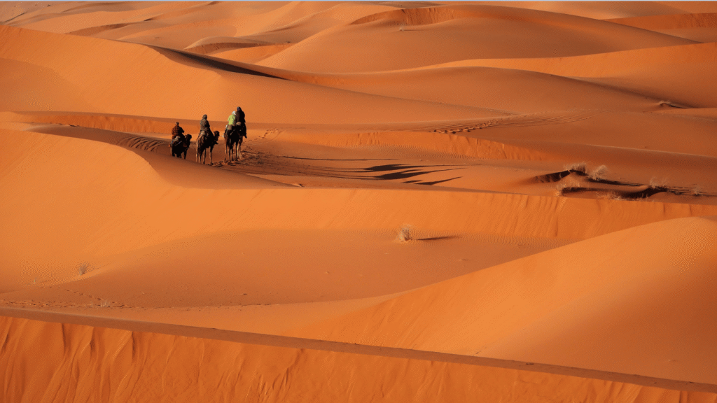 6 Days Agadir to Zagora Sahara Adventure Tour