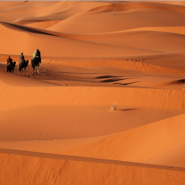 6 Days Agadir to Zagora Sahara Adventure Tour