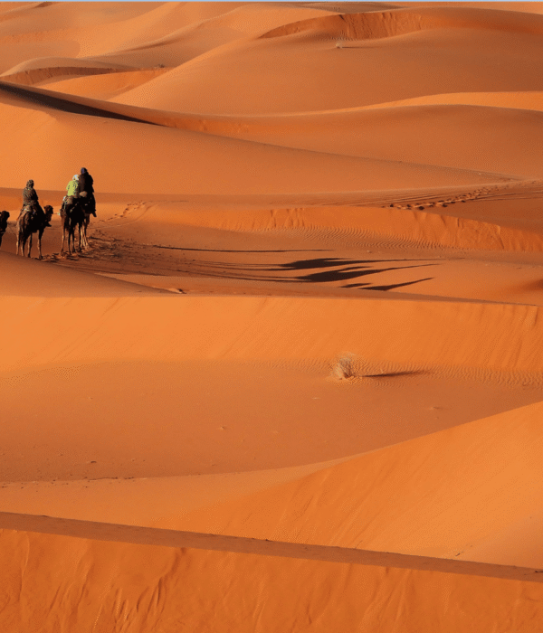 6 Days Agadir to Zagora Sahara Adventure Tour