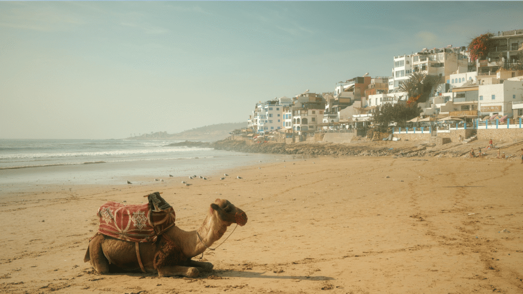 The 4 Days Tour from Marrakech to Agadir via Zagora Sahara is an unforgettable desert journey connecting the Red City with the Atlantic coast through the stunning landscapes of southern Morocco. This tour combines the High Atlas Mountains, historic kasbahs, the palm filled Draa Valley, camel trekking in Zagora Desert, and scenic mountain drives before arriving in Agadir.