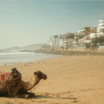 Timlalin Sandboarding Day Trip from Agadir via Taghazout