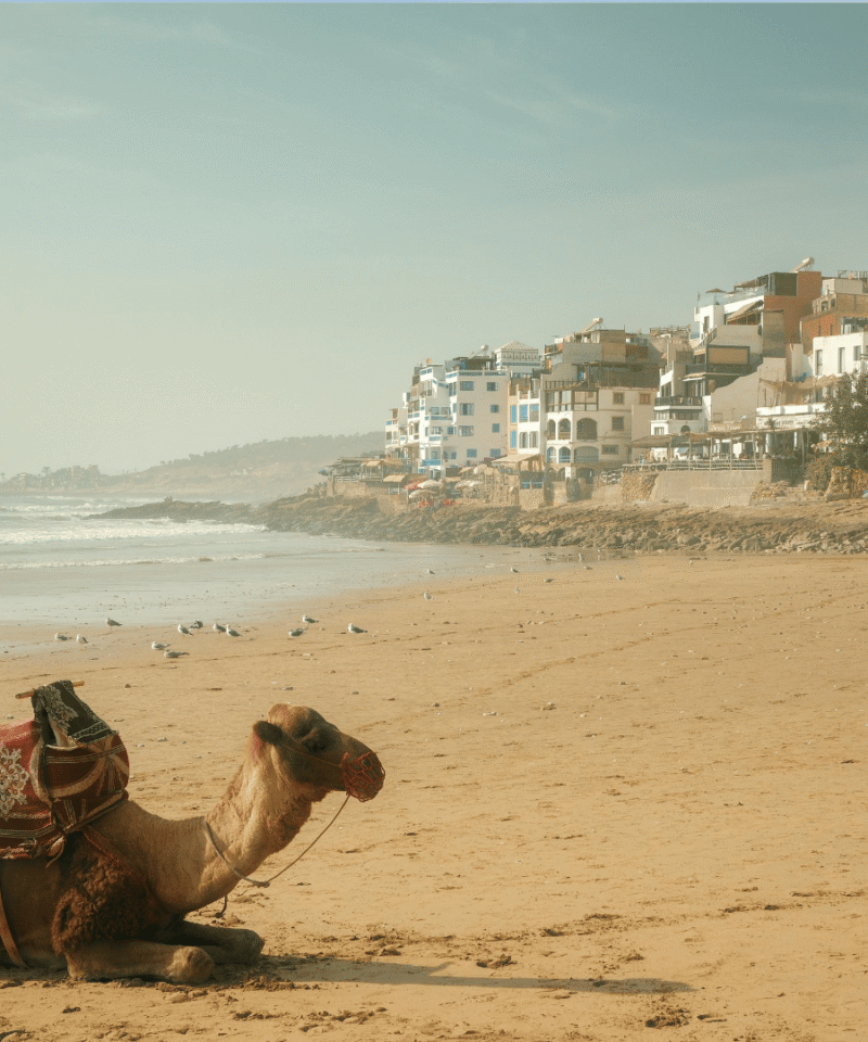 The 4 Days Tour from Marrakech to Agadir via Zagora Sahara is an unforgettable desert journey connecting the Red City with the Atlantic coast through the stunning landscapes of southern Morocco. This tour combines the High Atlas Mountains, historic kasbahs, the palm filled Draa Valley, camel trekking in Zagora Desert, and scenic mountain drives before arriving in Agadir.