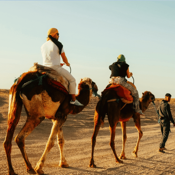 Day Trip to Ourika Valley via Agafay Desert Full Day