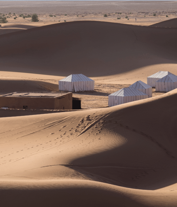 5 Days Tour from Casablanca to Zagora Sahara via Chefchaouen