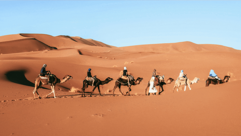 Full Day Camel Trekking Excursion in Zagora Desert