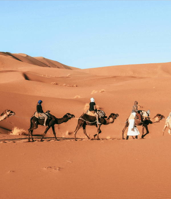 Full Day Camel Trekking Excursion in Zagora Desert
