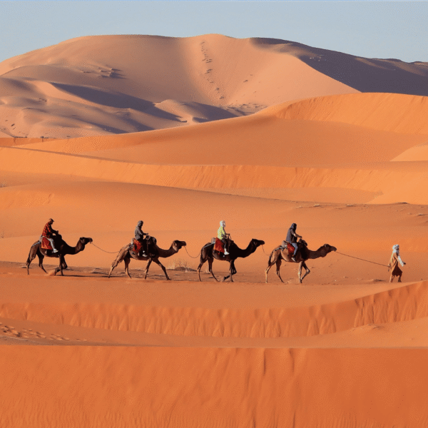 Zagora Sahara Tours