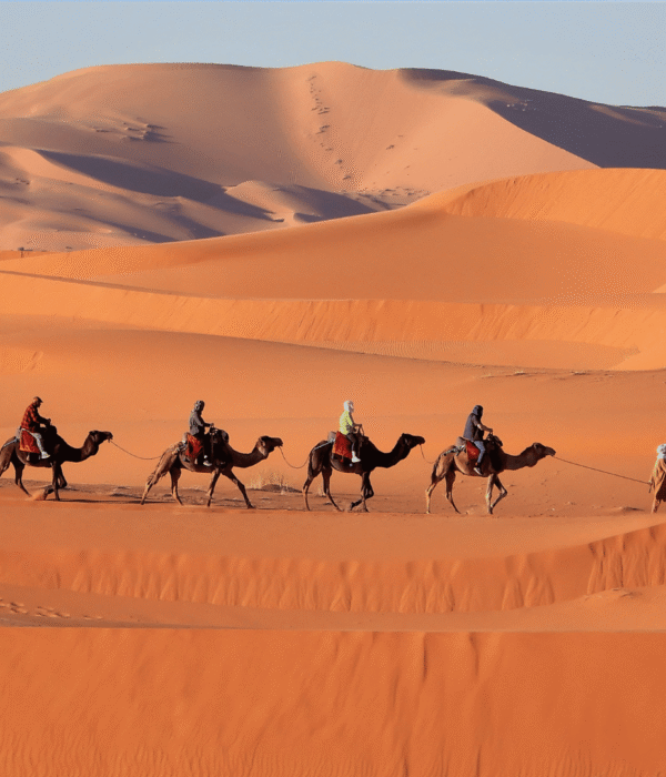 Zagora Sahara Tours