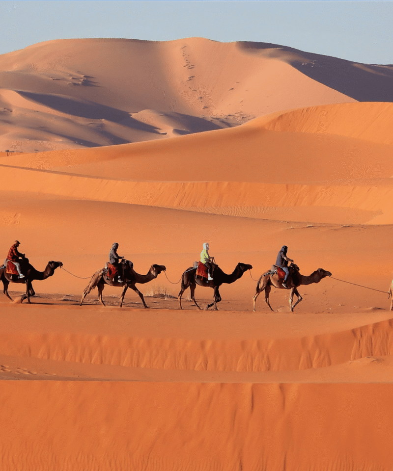 Zagora Sahara Tours