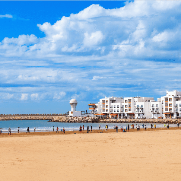 Agadir City Tour Day Trip from Agadir via Crocoparc