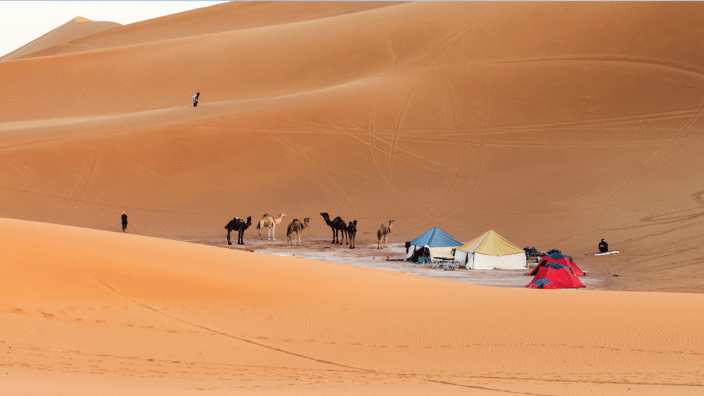 3 Days Tour Marrakech to Erg Chigaga Sahara Desert and Camel Trekking