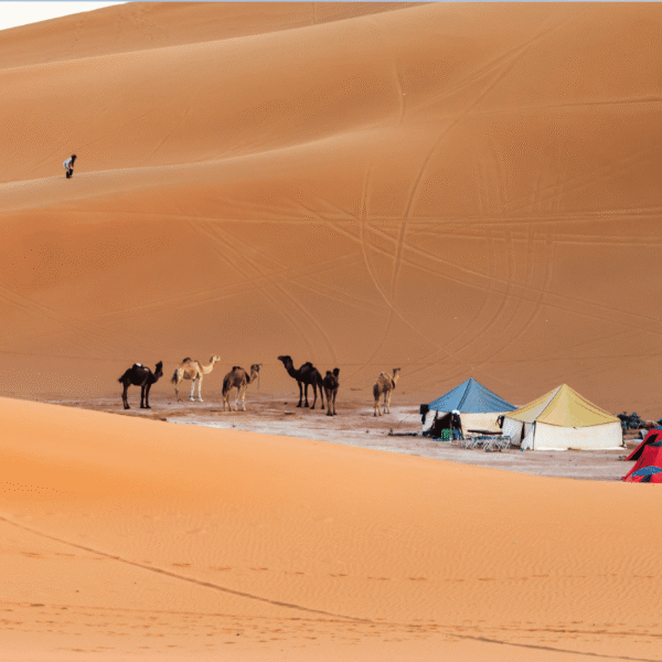 3 Days Tour Marrakech to Erg Chigaga Sahara Desert and Camel Trekking