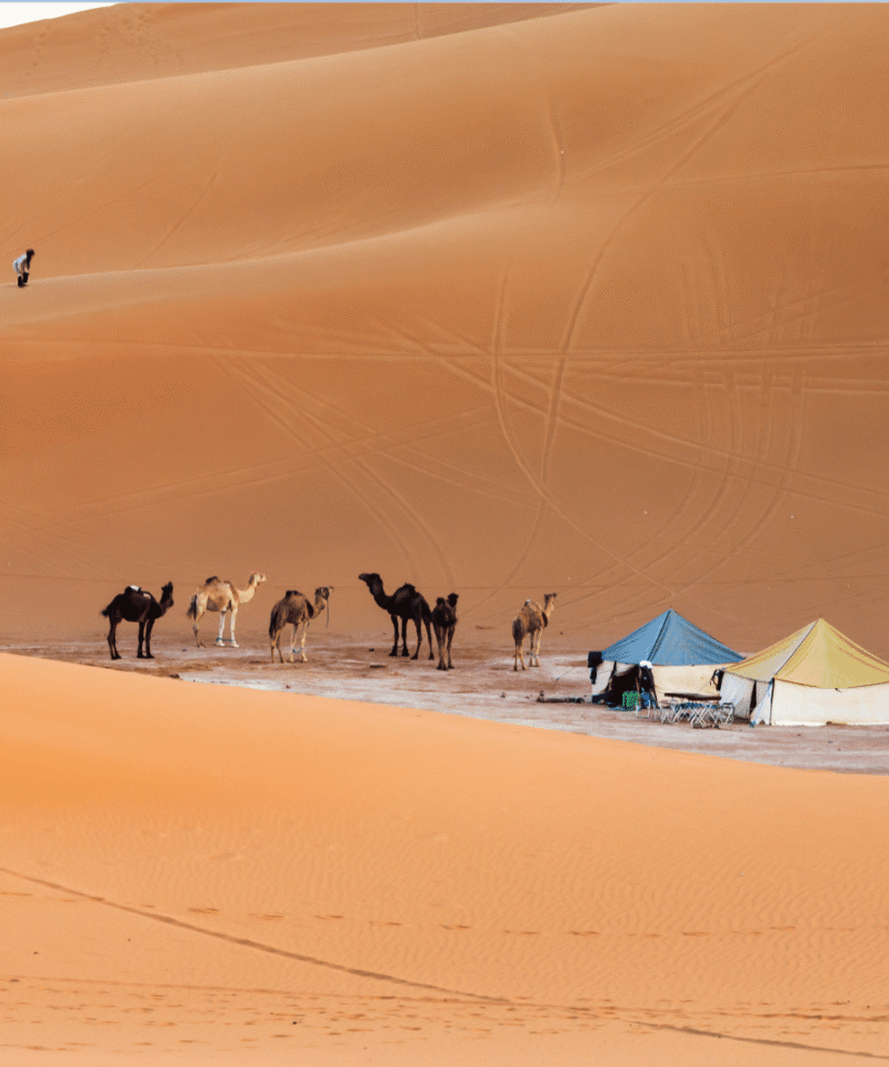 3 Days Tour Marrakech to Erg Chigaga Sahara Desert and Camel Trekking