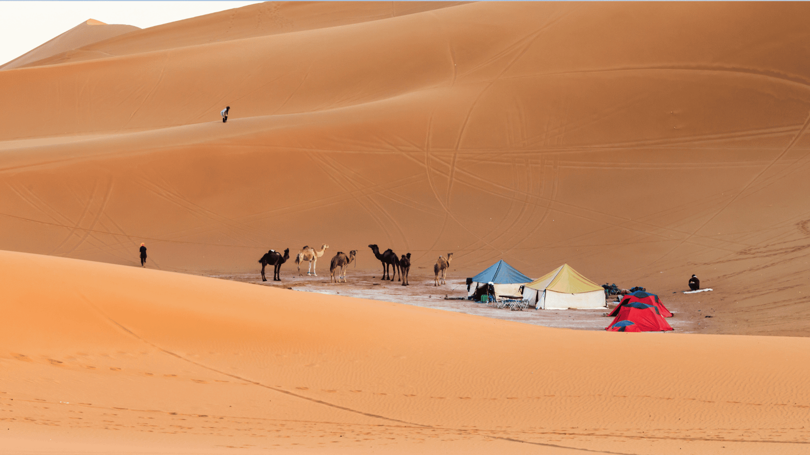 Erg Chigaga camp and camel caravan on a Zagora desert tour