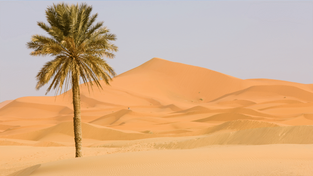3 Days Tour from Errachidia Airport to Zagora Sahara via Merzouga and Agadir