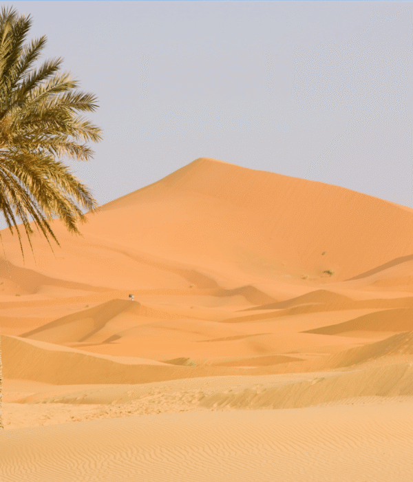 3 Days Tour from Errachidia Airport to Zagora Sahara via Merzouga and Agadir