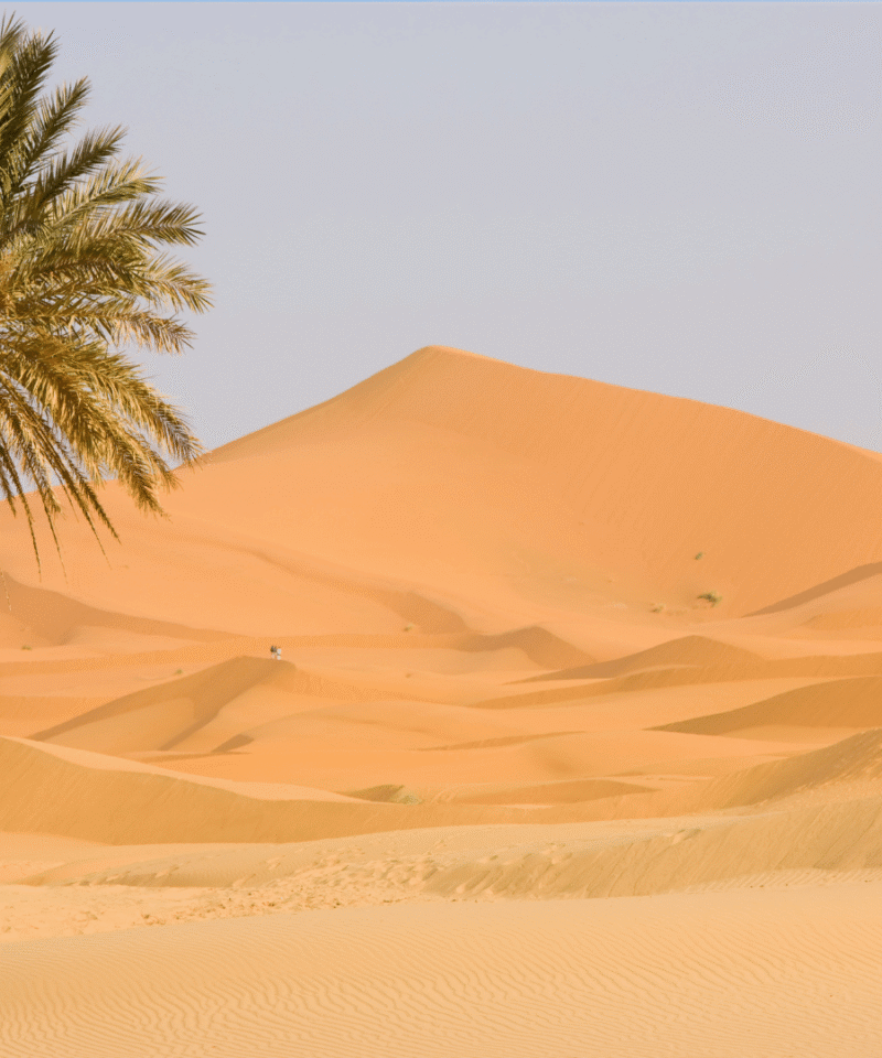 3 Days Tour from Errachidia Airport to Zagora Sahara via Merzouga and Agadir