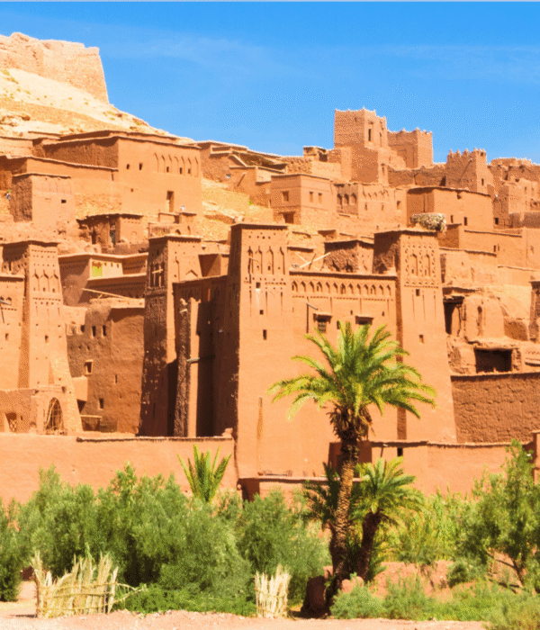 Group 2-Day Desert Trip from Marrakech to Zagora