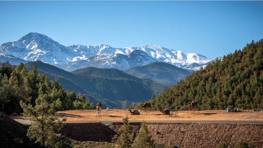 3 Days Marrakech to Merzouga Desert Tour