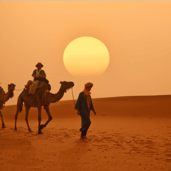 Camel Trekking in Zagora Desert