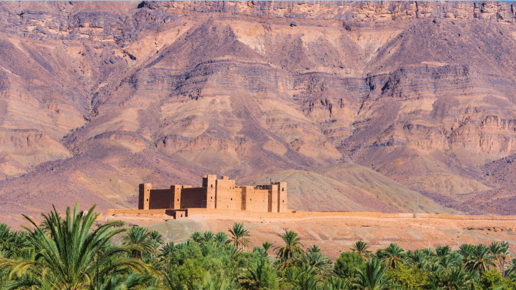 Full Day Draa Valley Cultural Excursion