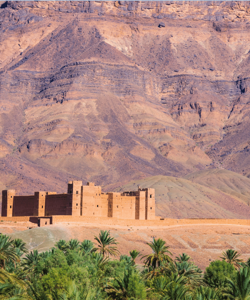 Full Day Draa Valley Cultural Excursion
