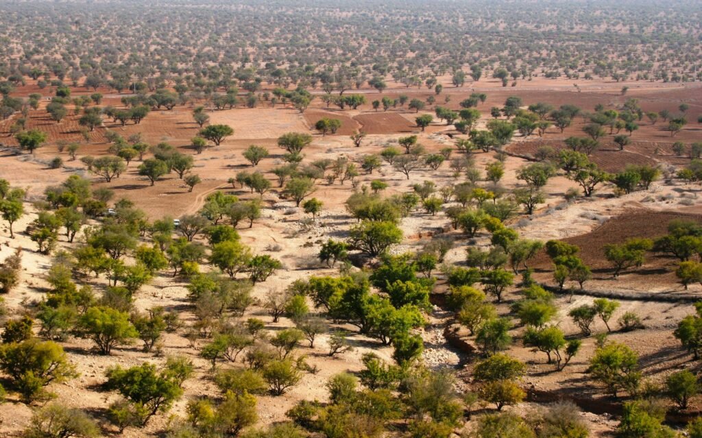 2 Days Agadir Sahara Tour to Marrakech via Zagora