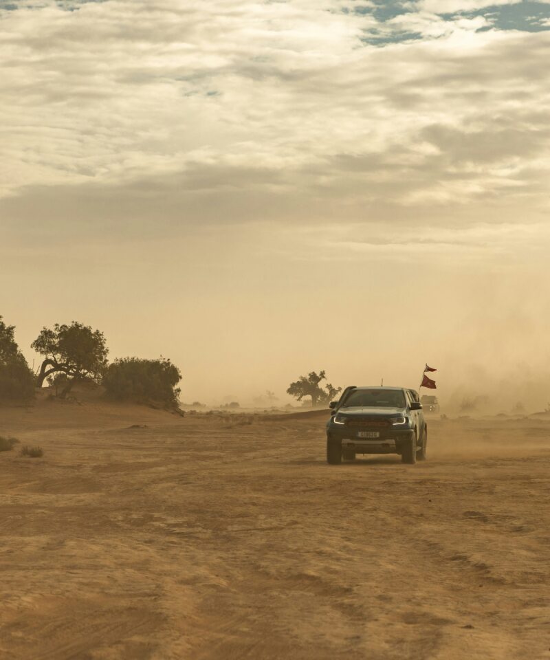 Full Day Zagora Desert Nomad Experience