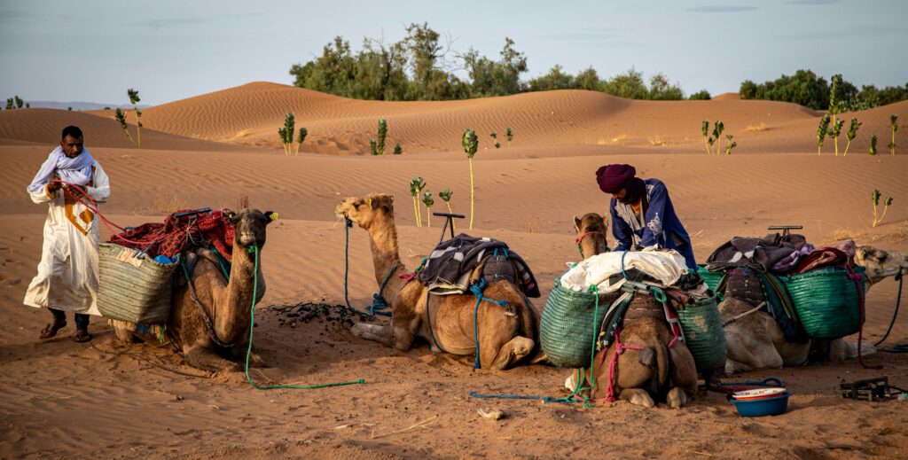 camel trekking erg chigaga ,zagora desert tours 