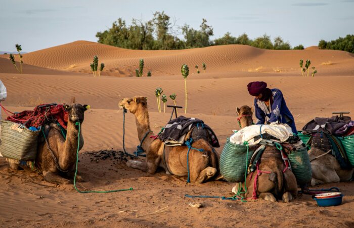 Group 2-Day Desert Trip from Marrakech to Zagora