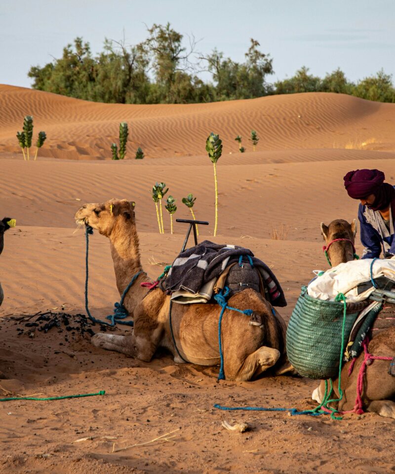 Group 2-Day Desert Trip from Marrakech to Zagora