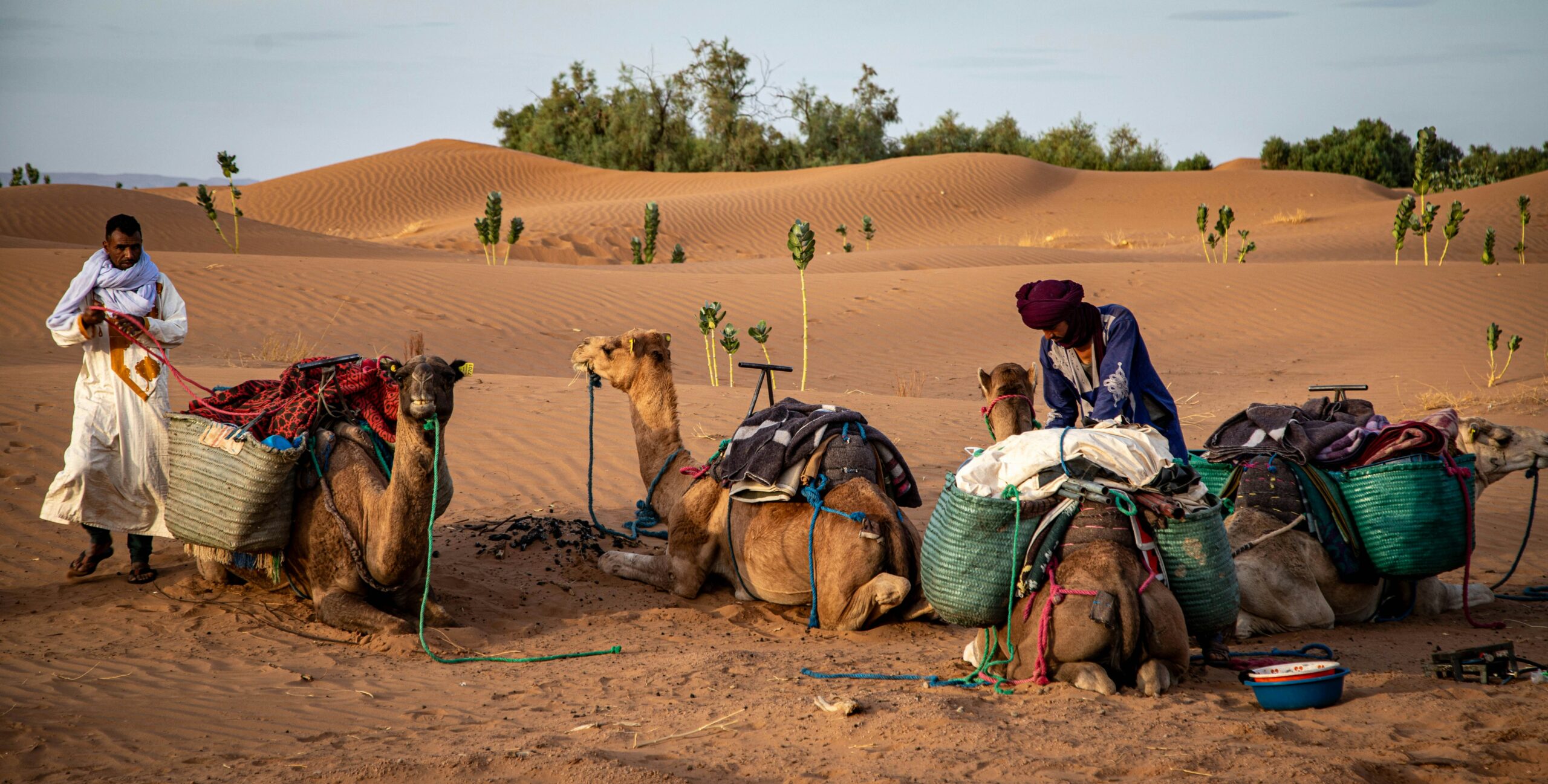 Group 2-Day Desert Trip from Marrakech to Zagora
