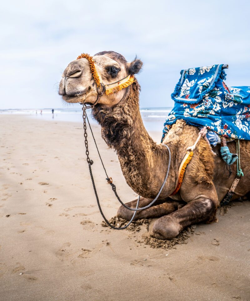 agadir activities