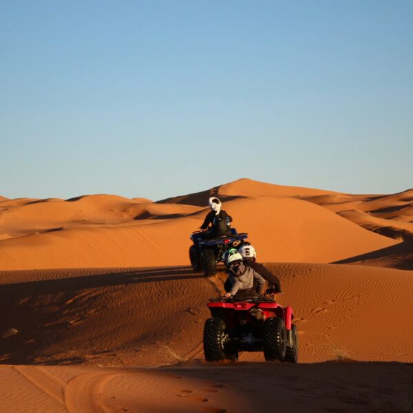 merzouga activities